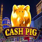 Cash Pig